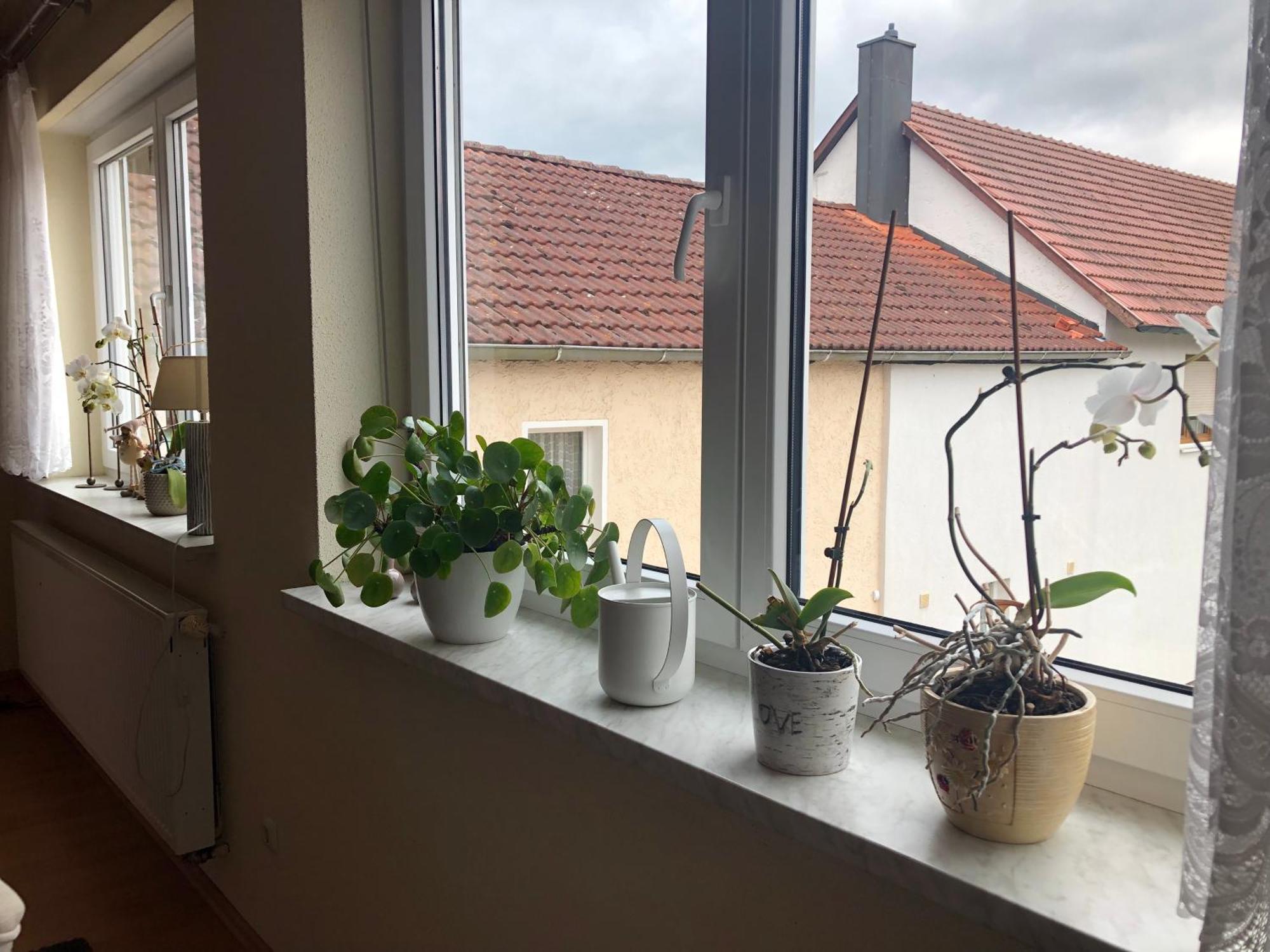 Ferienwohnung Am Gruenen Band Hellingen Eksteriør bilde